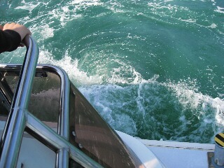 IMG_0398s.JPG