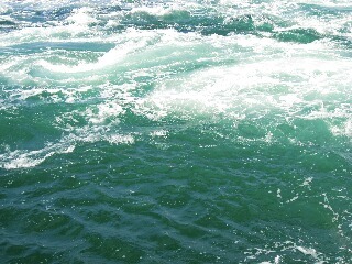 IMG_0412s.JPG