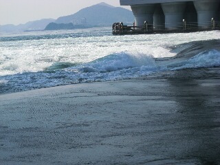 IMG_0438s.JPG