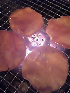 200910262159000.jpg