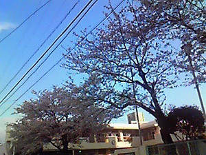 201004080741000.jpg