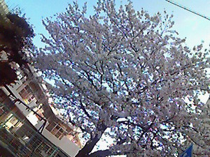 201004080742000.jpg