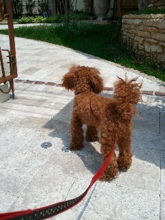 2011-05-20 12.38.53s.jpg
