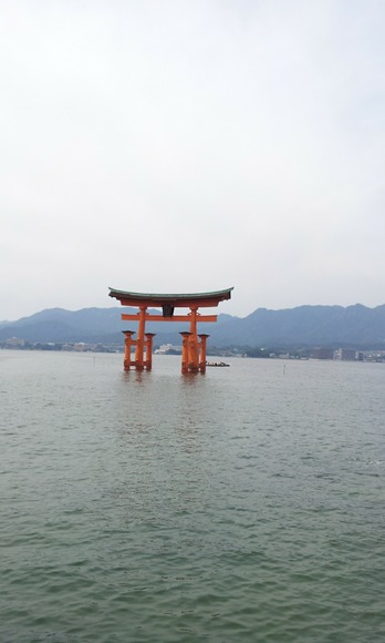 20120921_131442s.jpg
